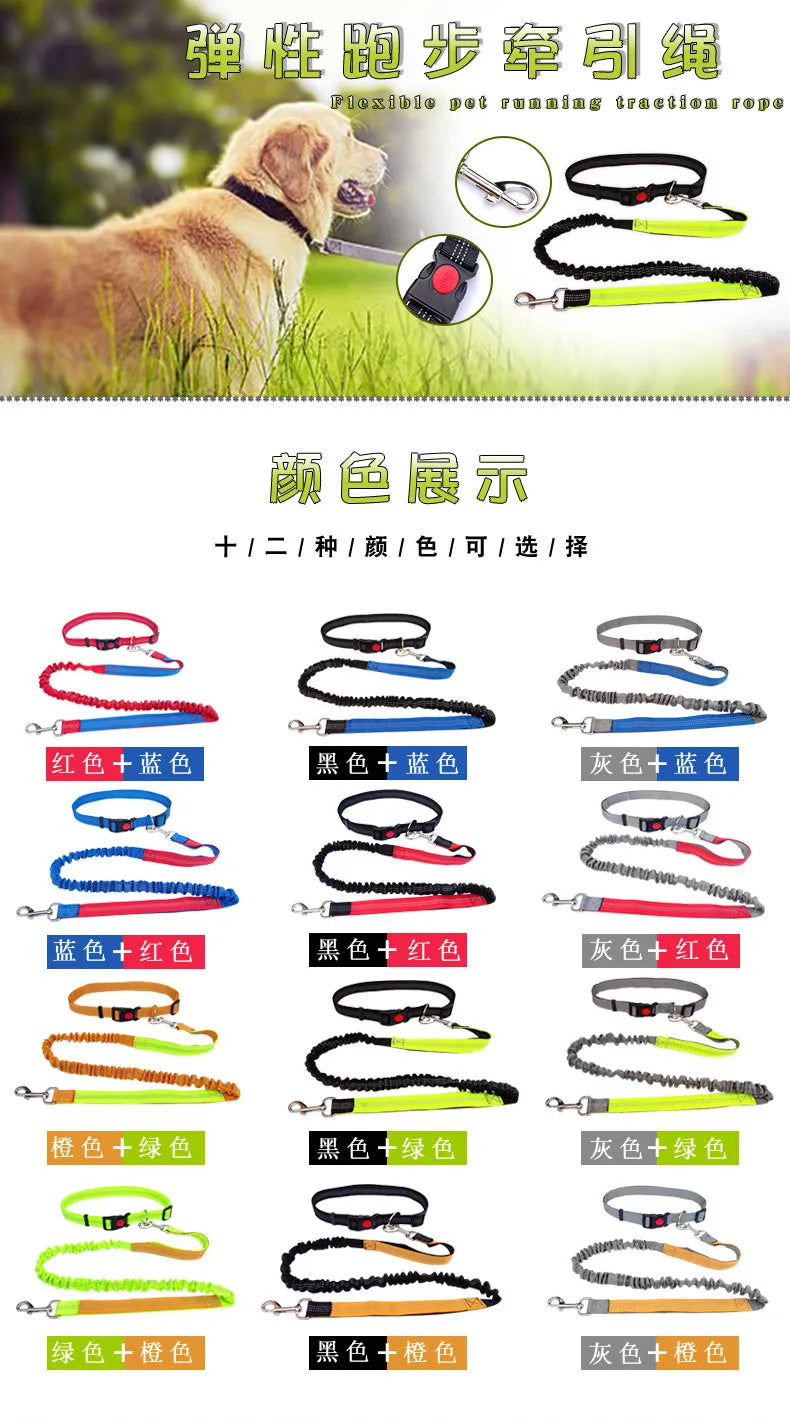Hands-Free Dog Leash