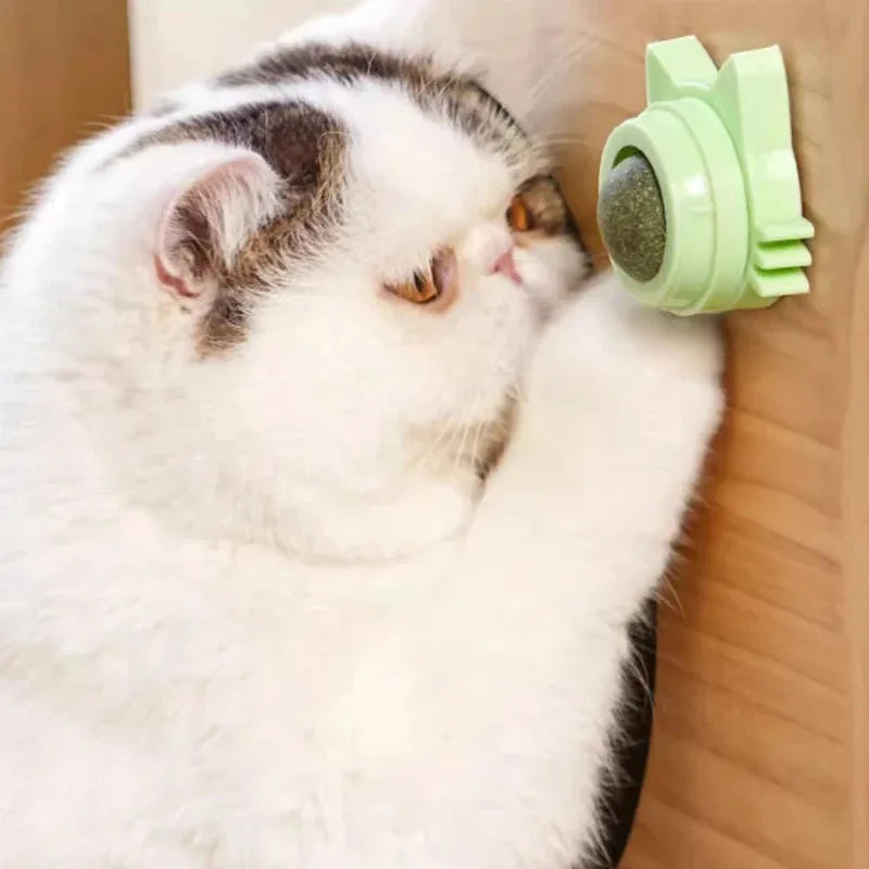 Catnip Lollipop Treat – Wall-Mount Cat Snack for Dental Care & Fresh Breath