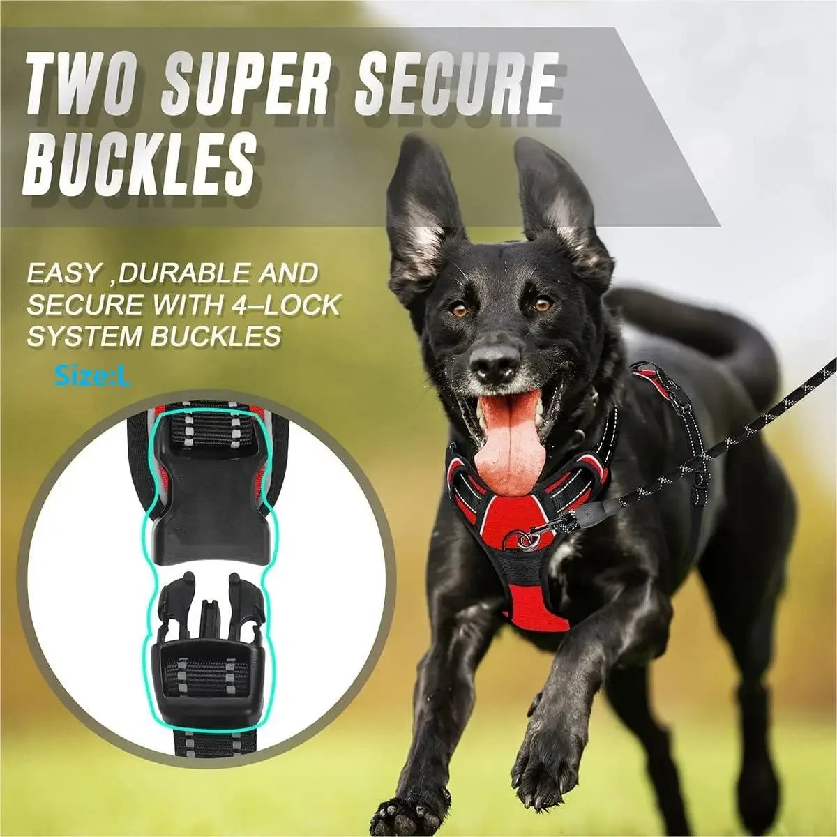 Dog Collars, Harness & Leash Set