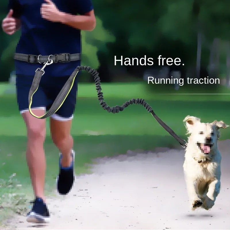 Hands-Free Dog Leash