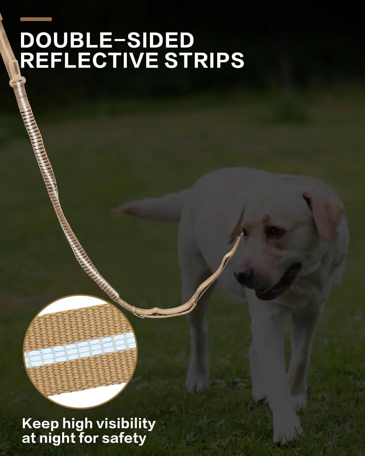 Reflective Shock-Absorbing Dog Leash