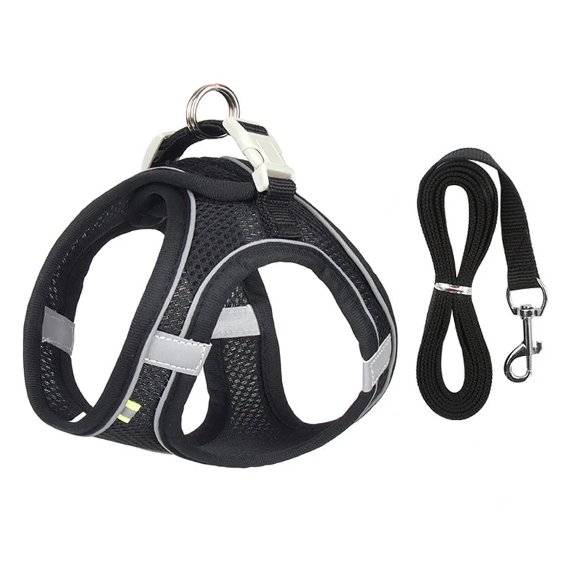 Adjustable Dog Harness & Leash Set – Small Dogs, Puppies & Cats