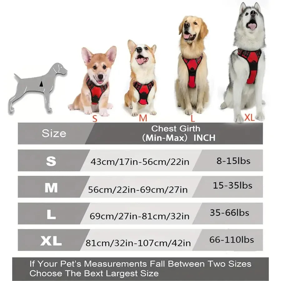 Dog Collars, Harness & Leash Set