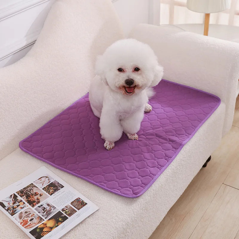 Reusable Dog Pee Pad Blanket