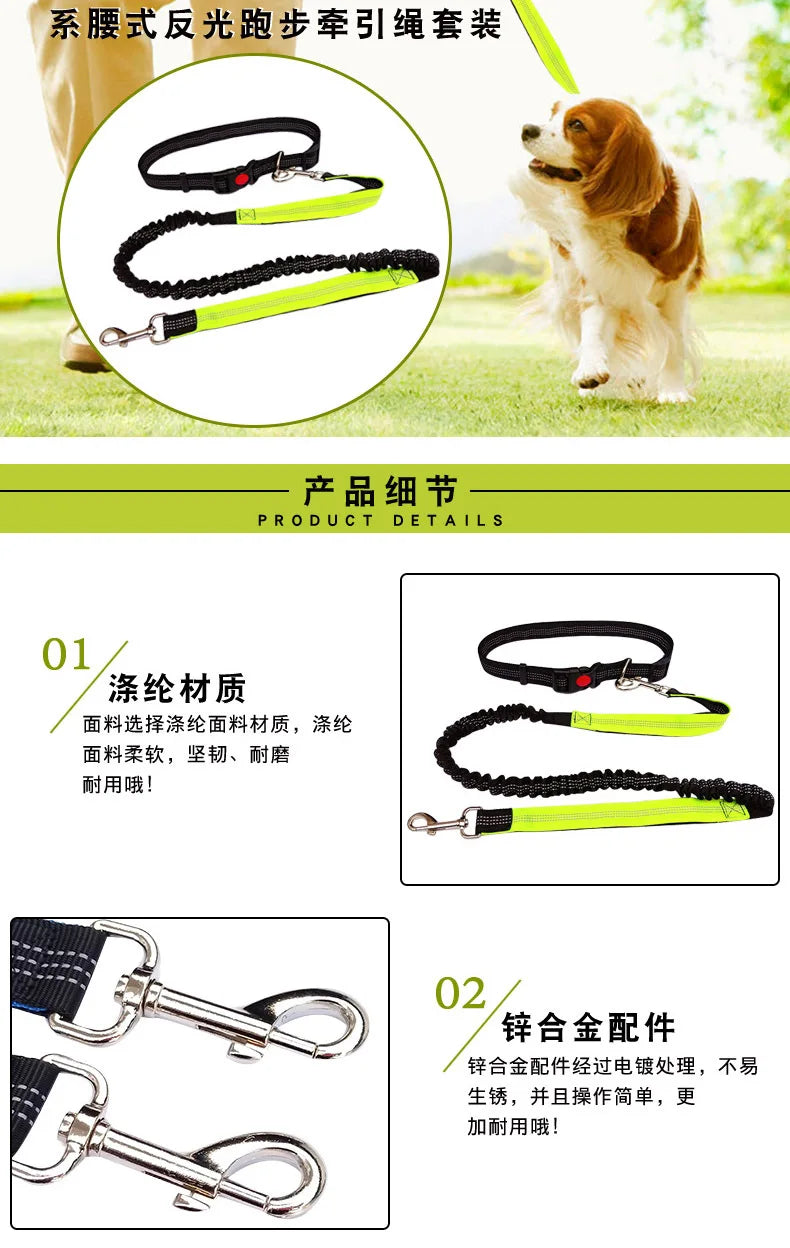 Hands-Free Dog Leash