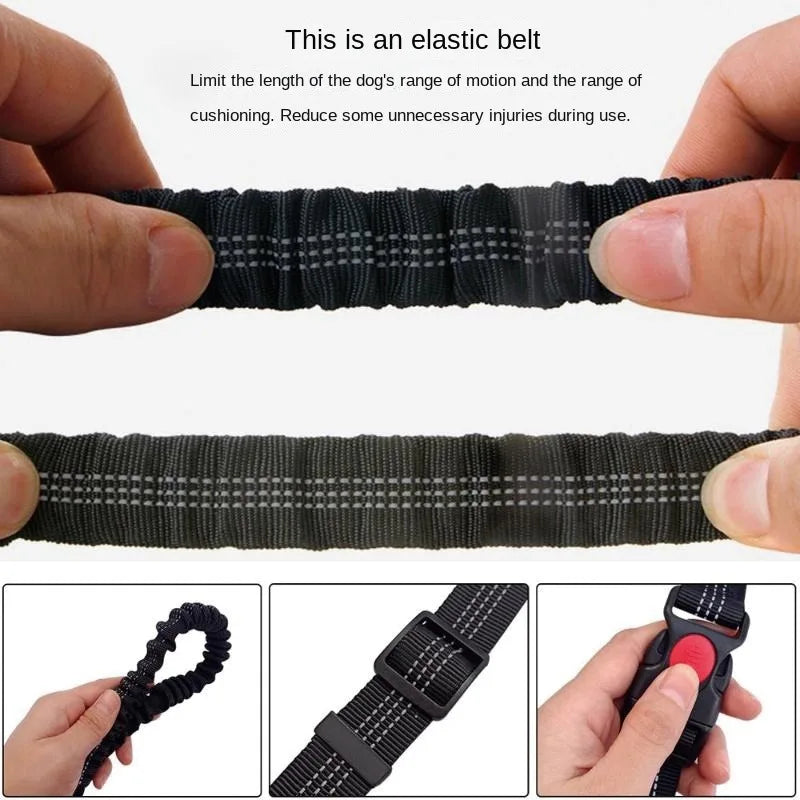 Hands-Free Dog Leash