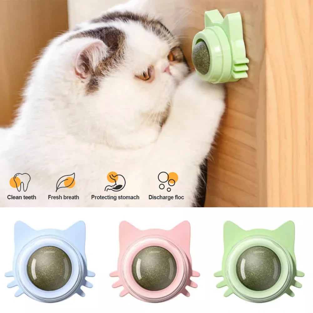 Catnip Lollipop Treat – Wall-Mount Cat Snack for Dental Care & Fresh Breath