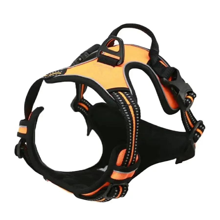 Dog Collars, Harness & Leash Set