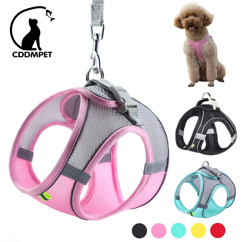 Adjustable Dog Harness & Leash Set – Small Dogs, Puppies & Cats