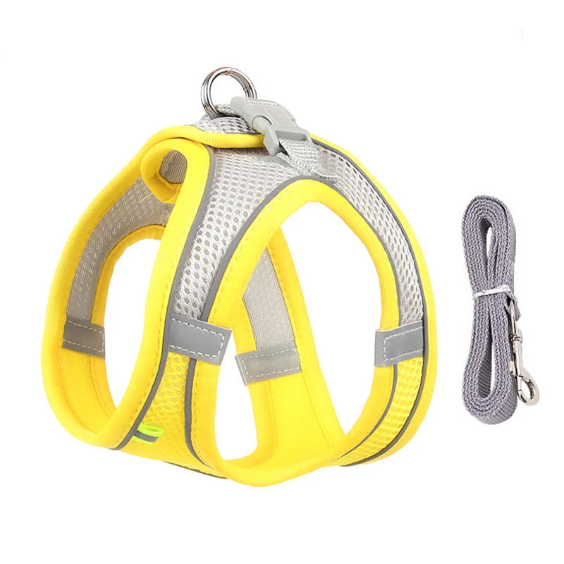 Adjustable Dog Harness & Leash Set – Small Dogs, Puppies & Cats