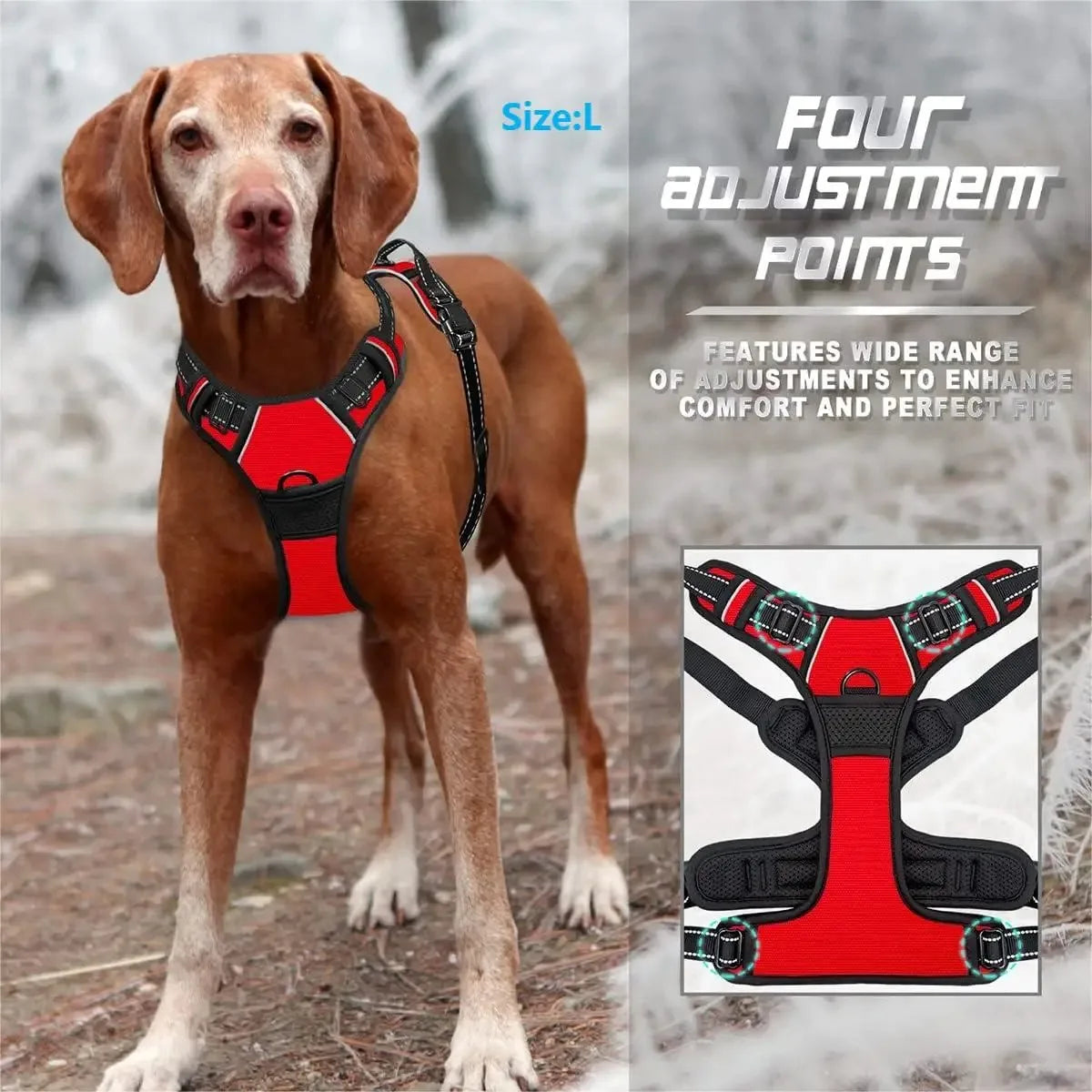 Dog Collars, Harness & Leash Set