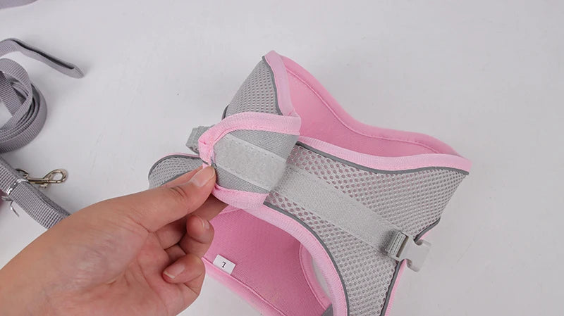 Adjustable Dog Harness & Leash Set – Small Dogs, Puppies & Cats