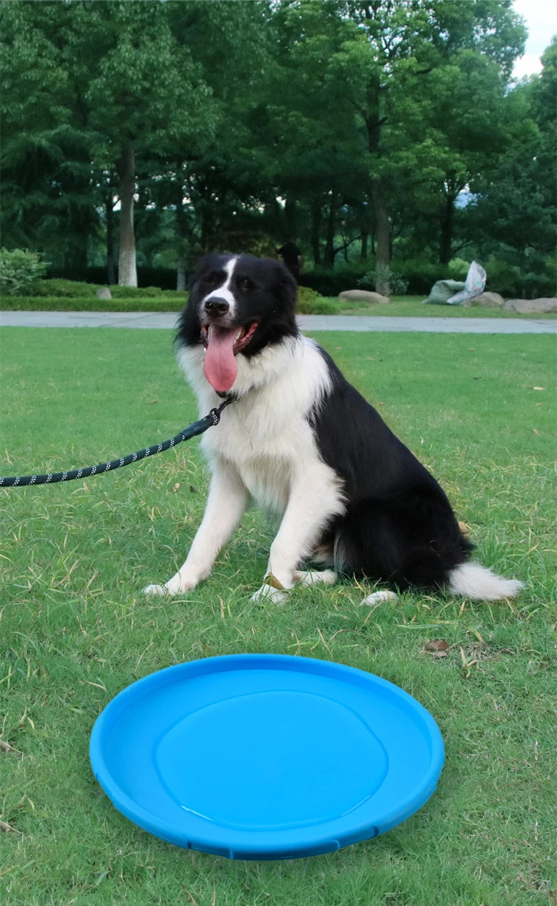 Dog Tennis Ball Launcher